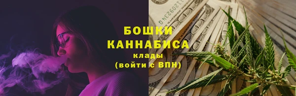 индика Балабаново