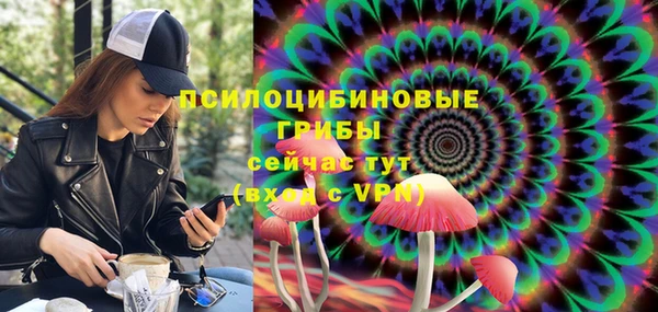тгк Балахна