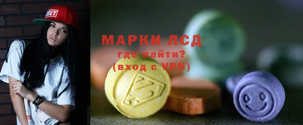 индика Балабаново