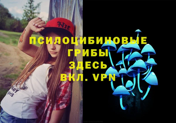 прущая мука Арсеньев