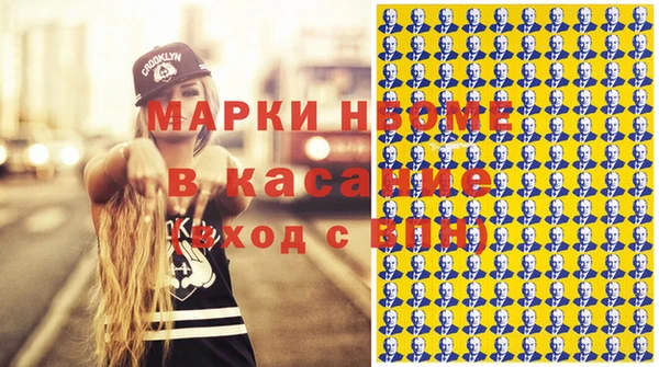 индика Балабаново
