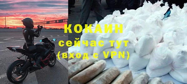 индика Балабаново