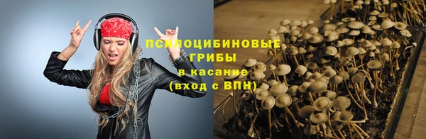 прущая мука Арсеньев