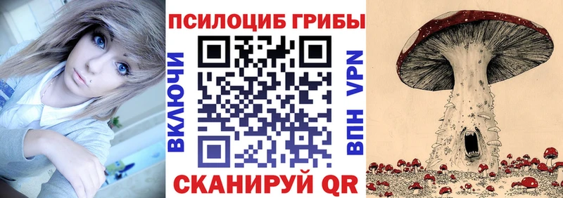 где найти   Саратов  Псилоцибиновые грибы Cubensis 